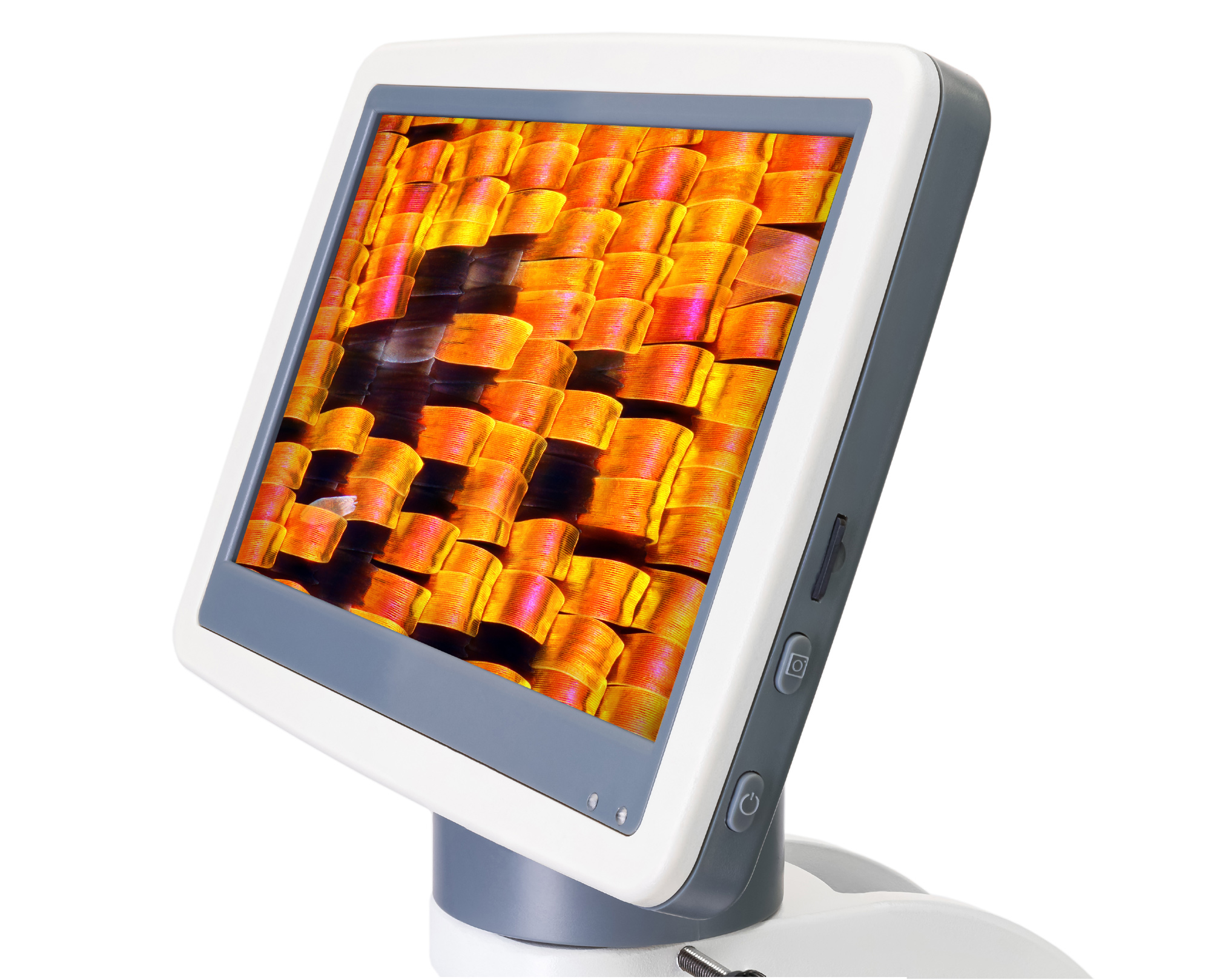 картинка Микроскоп цифровой Levenhuk D95L LCD, монокулярный от магазина снабжение школ