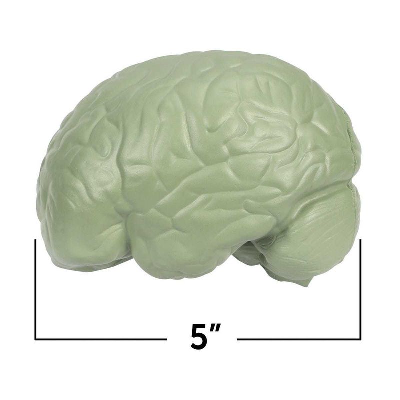 картинка Развивающая игрушка  "Мозг человека модель в разрезе" (демонстрационный материал из мягкой пены, 12.5см., 1 элемент ) от магазина снабжение школ