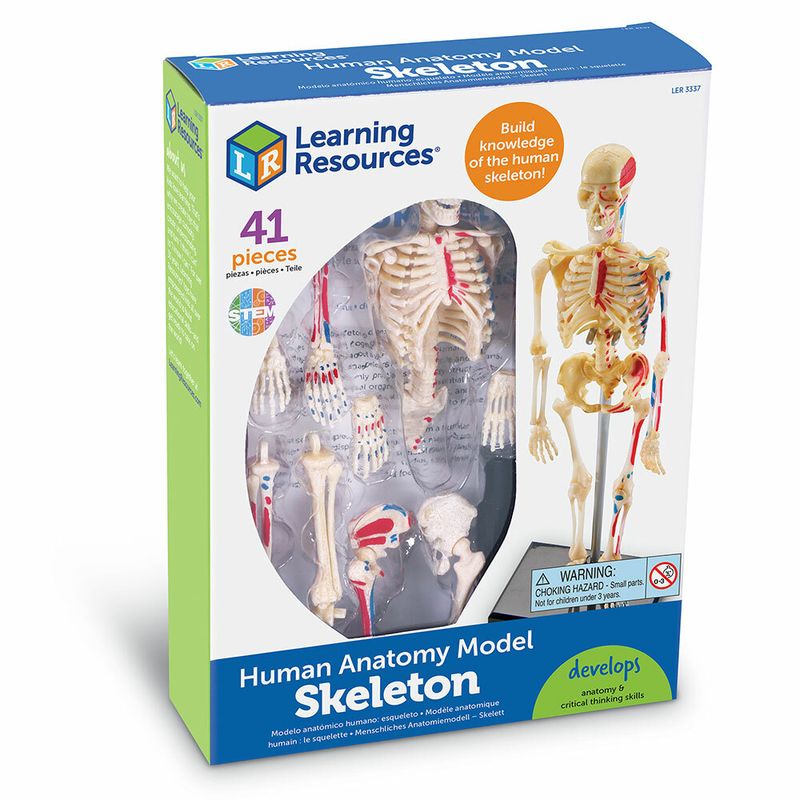 картинка Развивающая игрушка "Анатомия человека. Скелет"  (41 элемент) от магазина снабжение школ